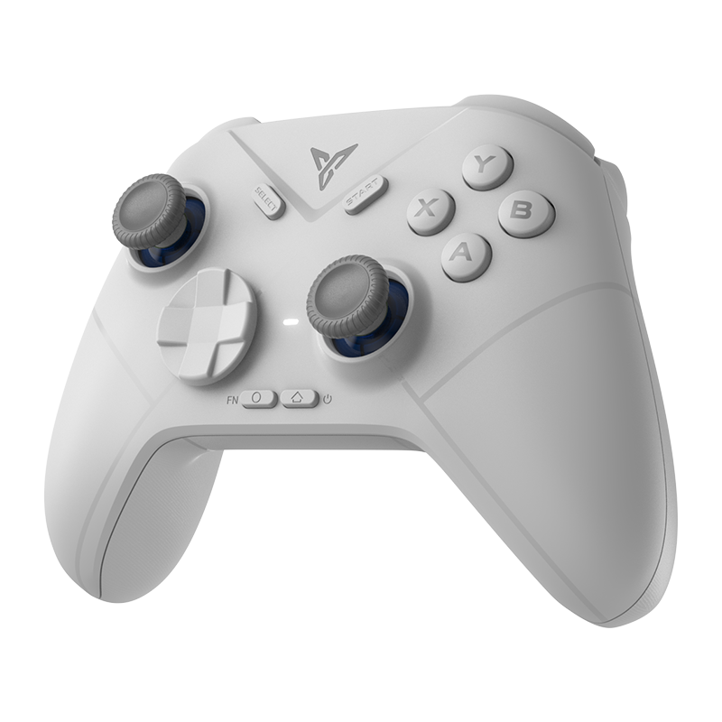 DIREWOLF 3_Wireless Gaming Controller