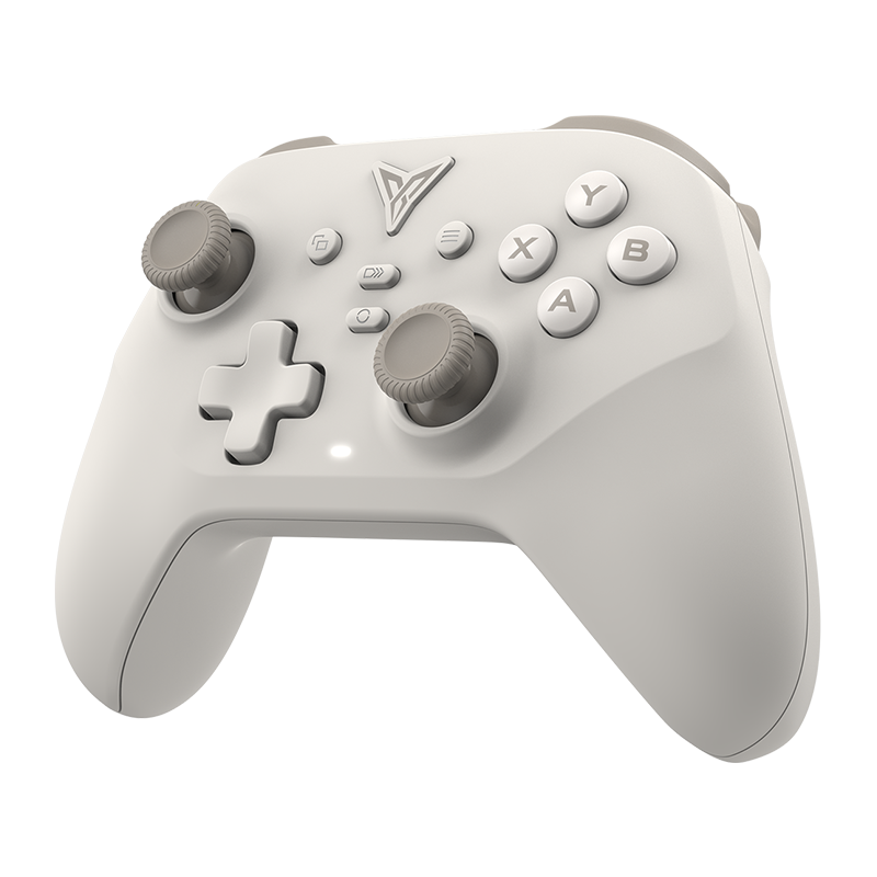 DUNEFOX_Gaming Controller